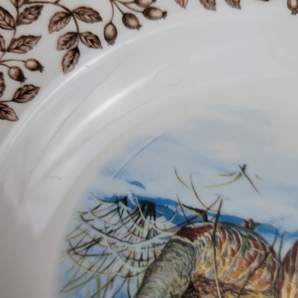 (2) WILD BIRDS Porcelain Soup Bowls - Picture 7 of 12